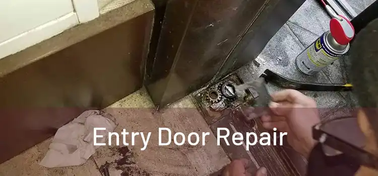 Entry Door Repair