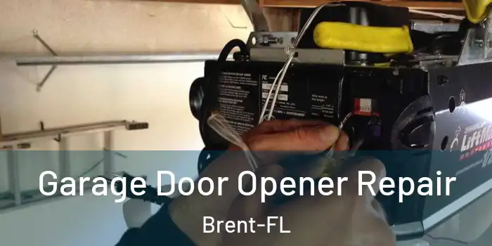Garage Door Opener Repair Brent-FL
