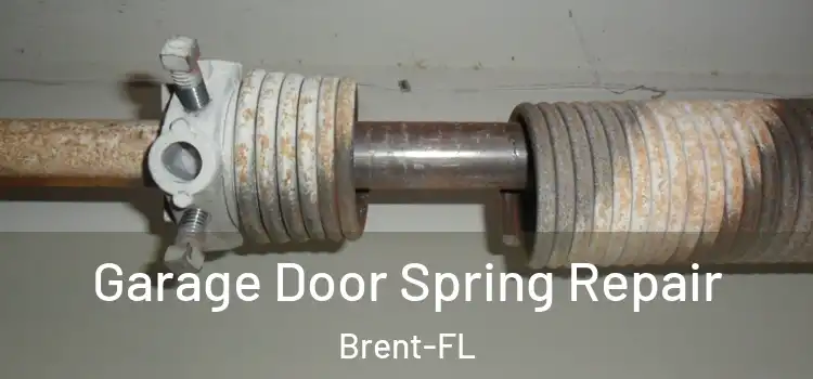 Garage Door Spring Repair Brent-FL