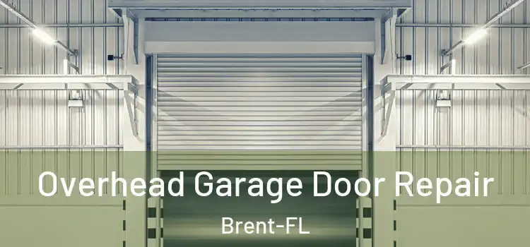 Overhead Garage Door Repair Brent-FL