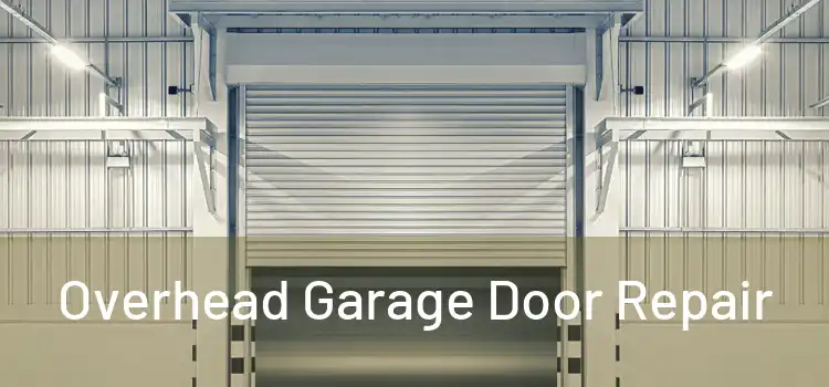  Overhead Garage Door Repair 
