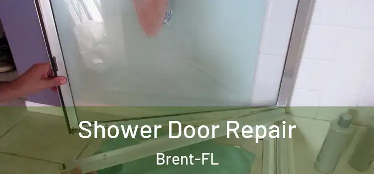 Shower Door Repair Brent-FL
